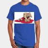 Cotton Mens T-Shirt S to 5XL Thumbnail